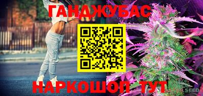гидра Гай