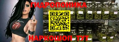 гидра Гай