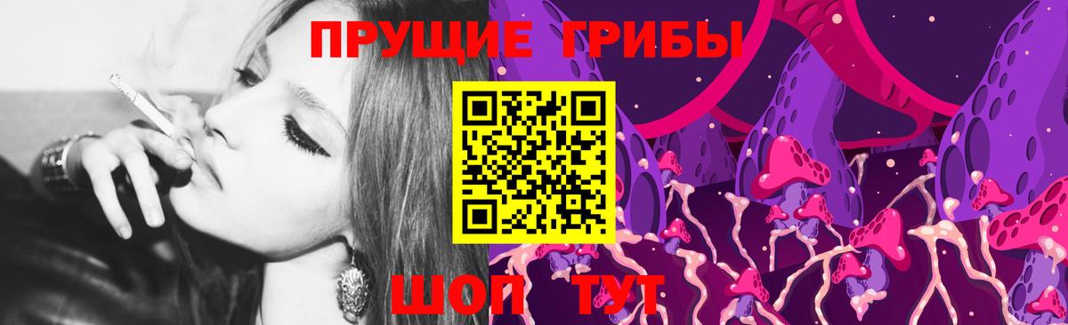 Галлюциногенные грибы MAGIC MUSHROOMS  Псилоцибиновые грибы Magic Shrooms  Вход с VPN  наркота  Миллерово 